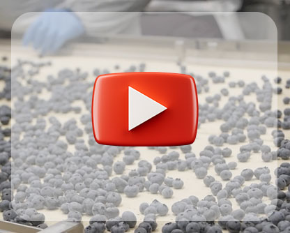 Packaging Line Automation