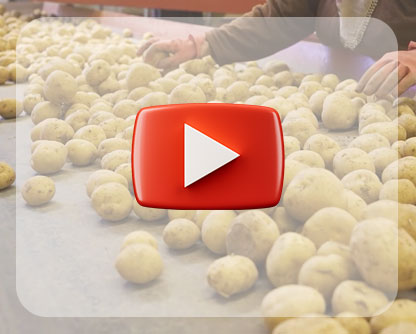 Farm to Freezer Journey