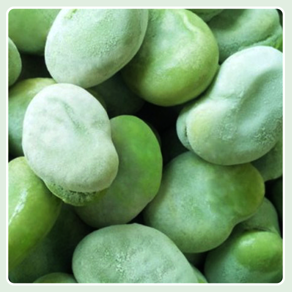 BROAD BEANS