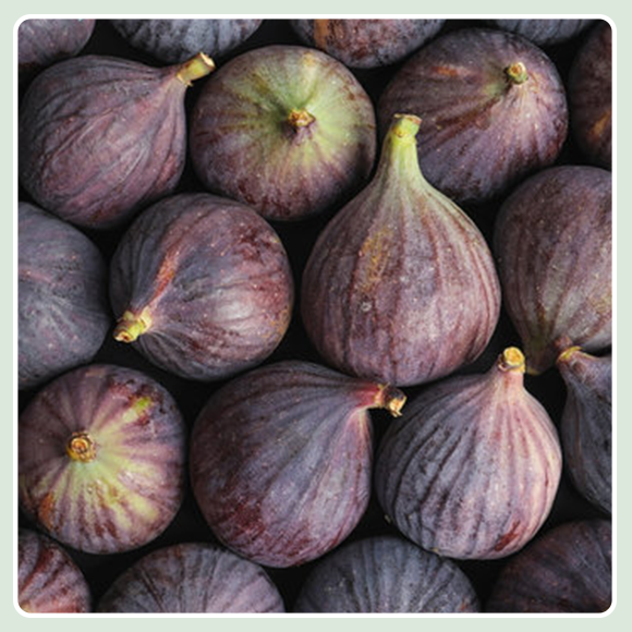FIGS