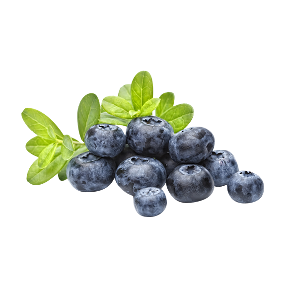 BLUEBERRY