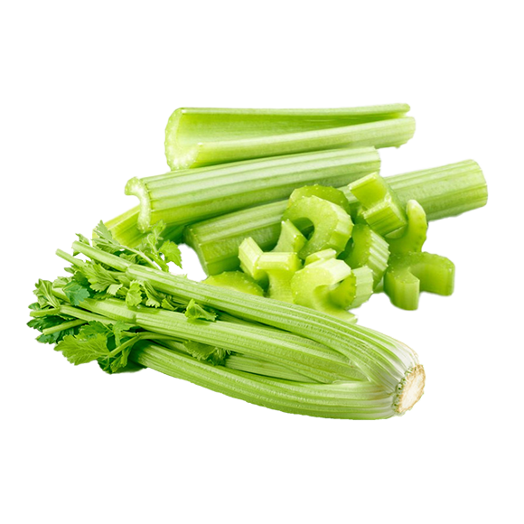 CELERY