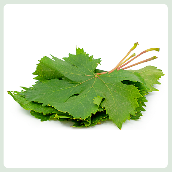 VINE LEAVES