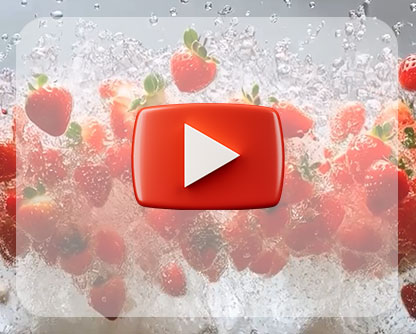 Harvesting Fresh Okra