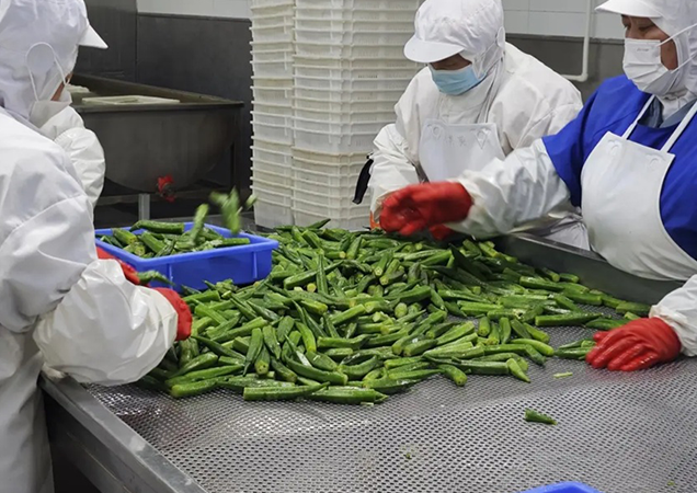 Контроль качества