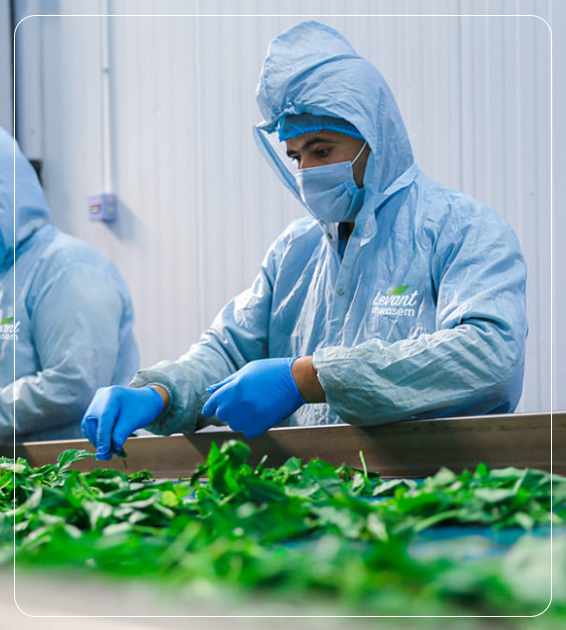 Сертификаты